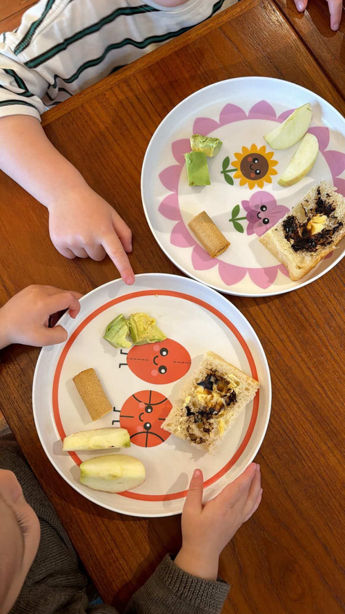 Platepals: Mixed Set (4pc)