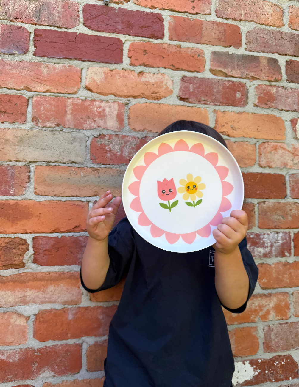 Platepals: Mixed Set (4pc)